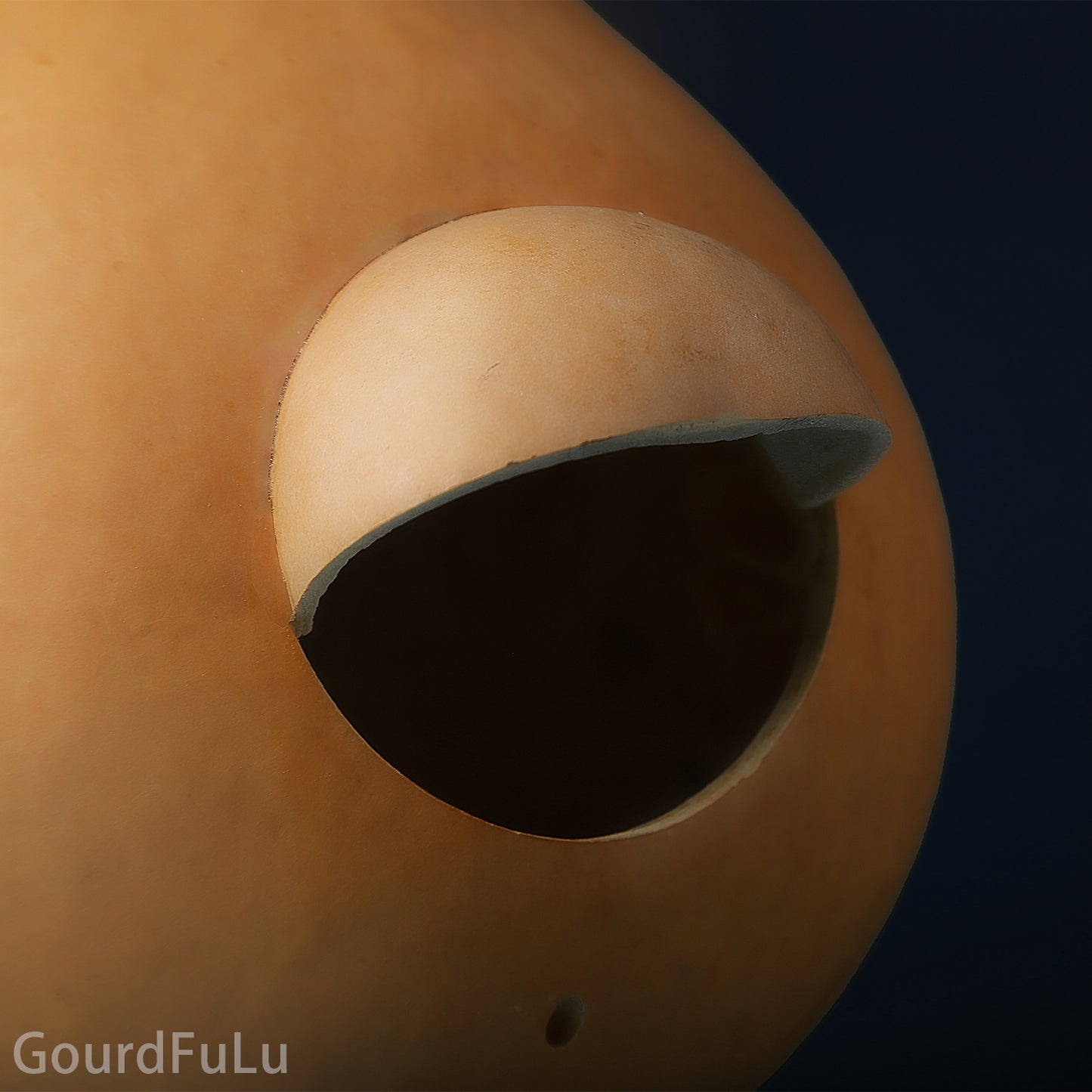 Ornamental Birdhouse Gourd - Unfinished, Create Your Own Birdhouse,Make Warm Homes for Your Birds
