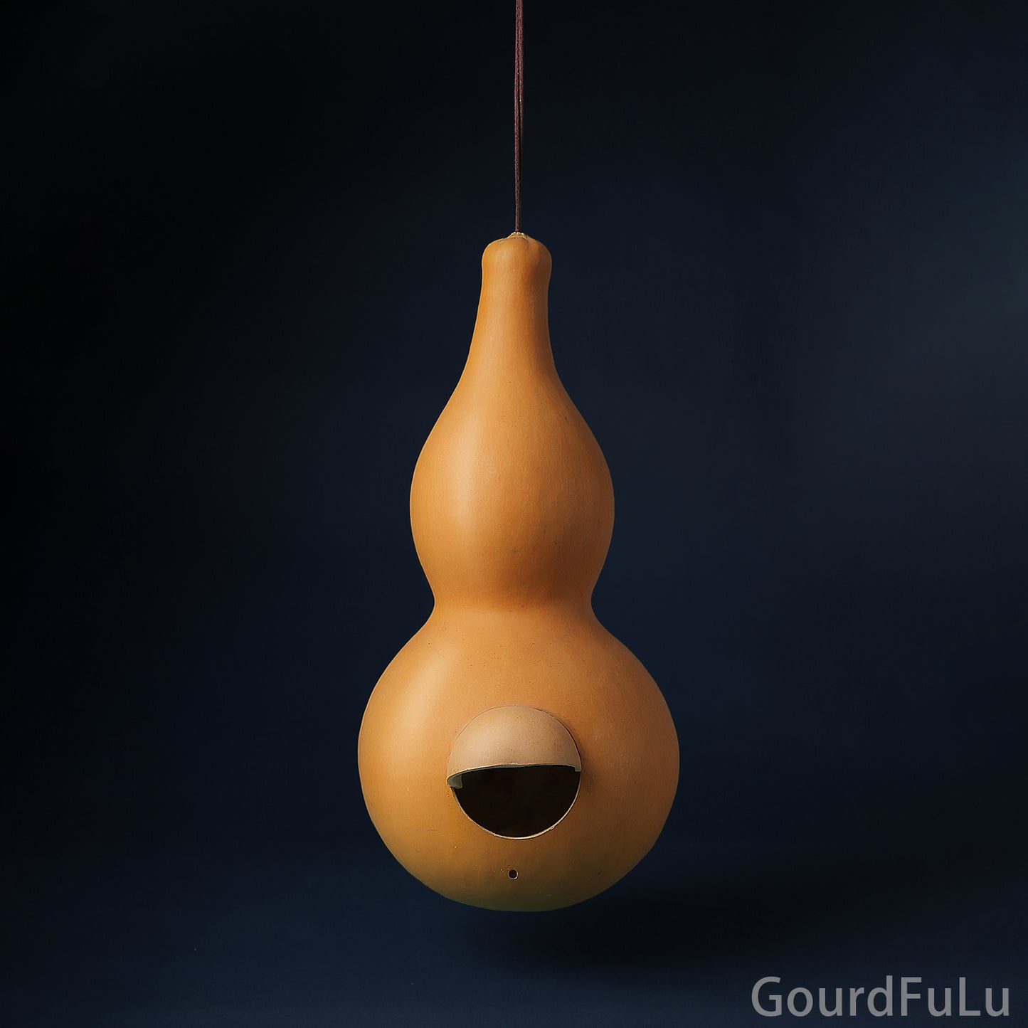 Ornamental Birdhouse Gourd - Unfinished, Create Your Own Birdhouse,Make Warm Homes for Your Birds